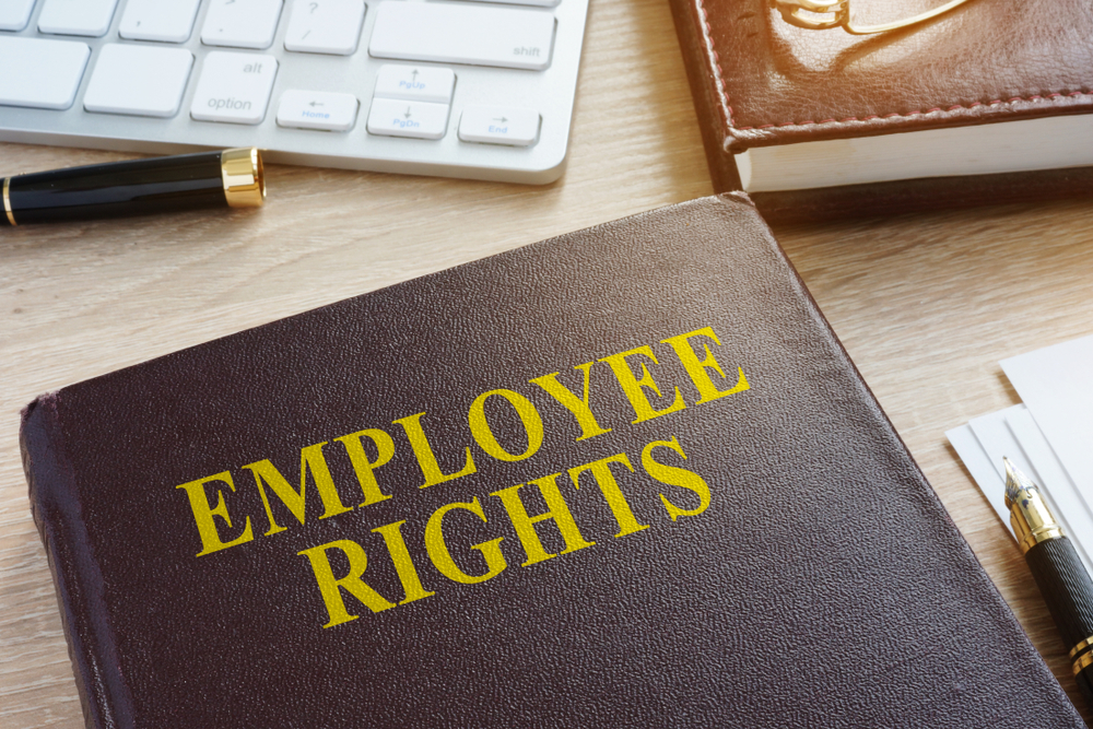 Colleague Rights The Rights Every Employee Should Know About Their Workplace - School ...