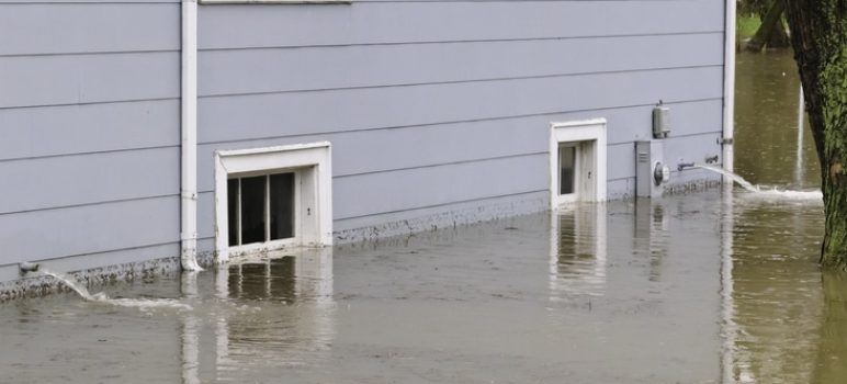 How Professional Flooding Repair Restores Your Home’s Value